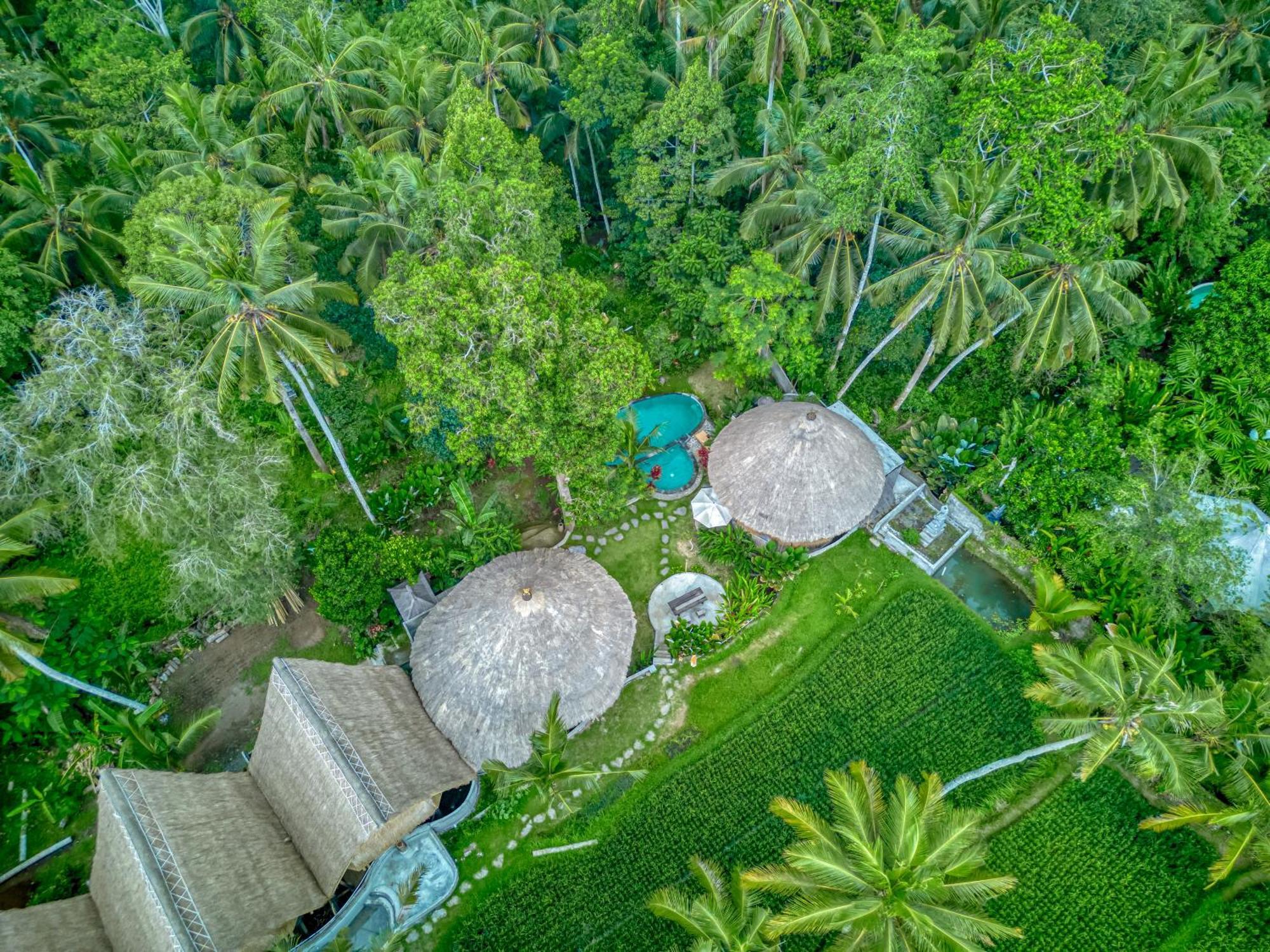 Bamboo Sanctuary By Nusantara Hospitality Villa